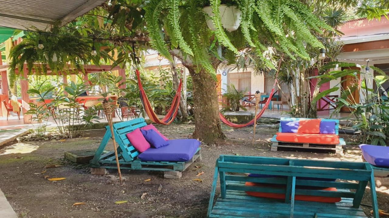 Cabinas Palmer Makanda カウイータ エクステリア 写真
